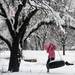 Six-year-old Jaylee Oeschger, 6, plays on a tire swing in her Ann Arbor yard on Wednesday, Feb. 27, 2013. Jaylee was enjoying a snow day from school with her older sister Ileana. Melanie Maxwell I AnnArbor.com